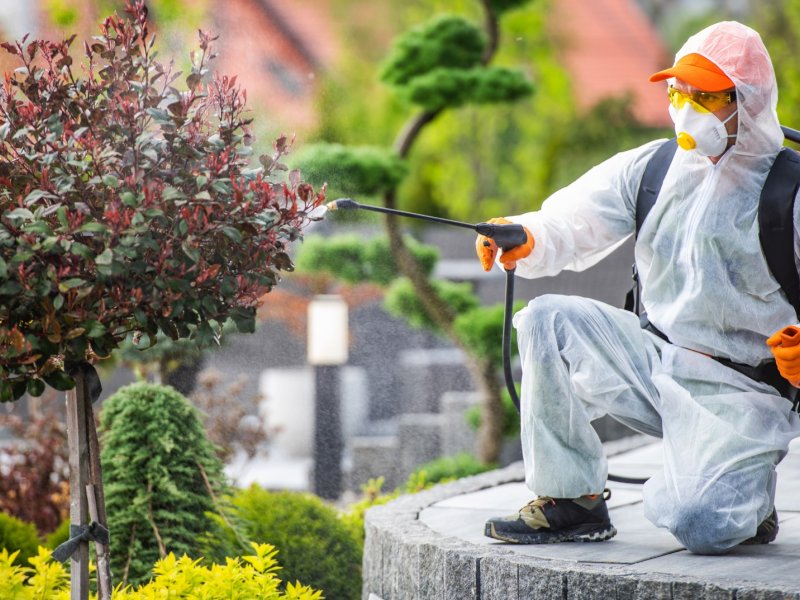 Ankara Haşere İlaçlama